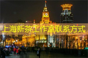 新茶工作室等你来探索