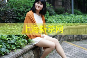 上海419论坛：上海的时尚活动与流行趋势