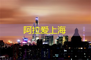 茶与友谊：上海茶庄的聚会新方式